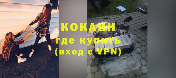 шишки Богородск