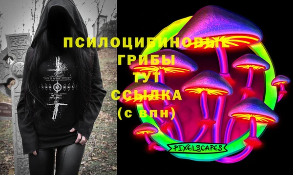 МДПВ Богородицк