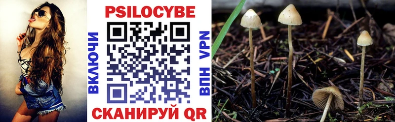 Псилоцибиновые грибы прущие грибы  Купить где  Данков 